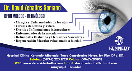 DR DAVID ZEBALLOS